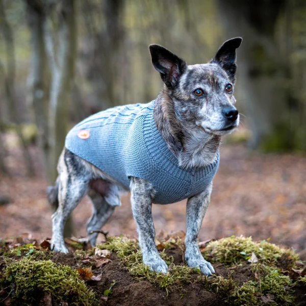 Hundepullover Fehmarn – Grau