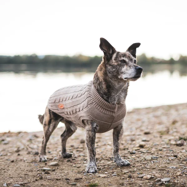 Hundepullover Usedom – Kiesel