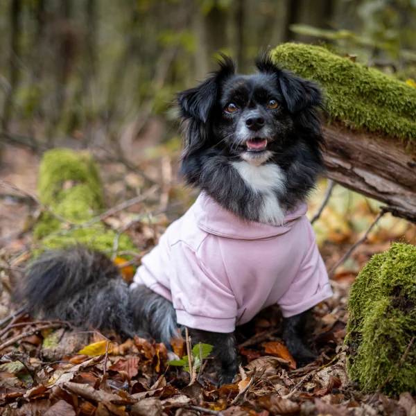 Hundesweatshirt Föhr – Rose