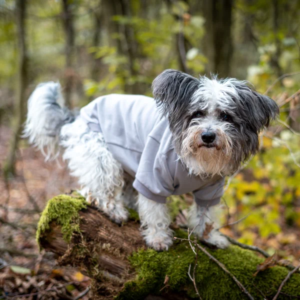 Hundesweatshirt Föhr – Kiesel